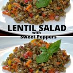 A white large plate filled with a lentil and sweet peppers salad.