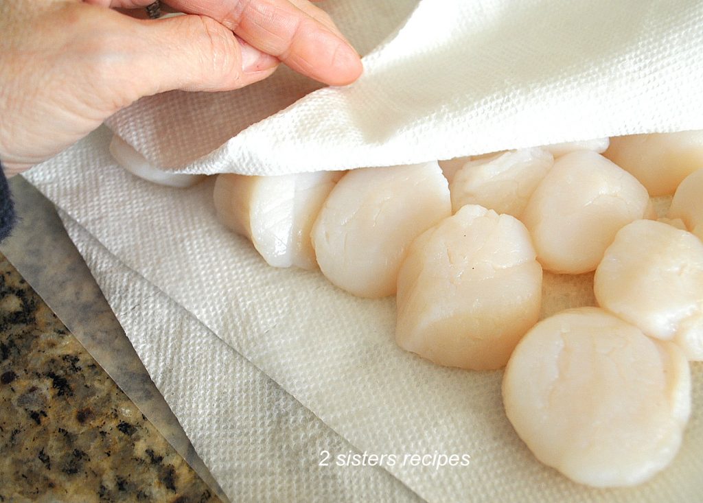 photo of Sea Scallops on paper towels by 2sistersrecipes.com 