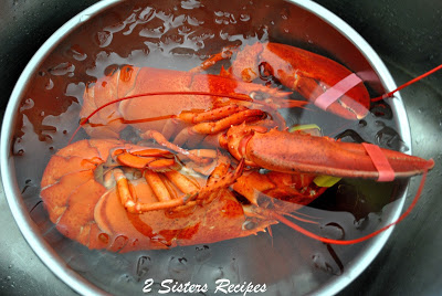 Freshly cooked lobsters inside an ice bath in a silver bowl. by 2sistersrecipes.com 