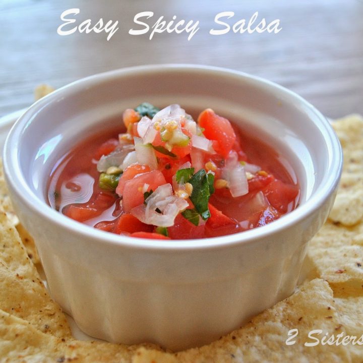 A white small bowl filled with a homemade salsa, with tortilla chips around the bowl.