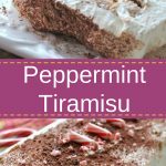 A rectangular shaped cake topped with whipped cream, grated chocolate and peppermint candies.