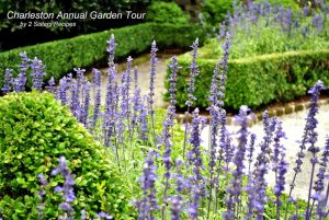 Charleston Annual Garden Tour- Part I