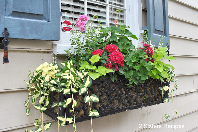 Beautiful display of flowers and greenery in a window box.