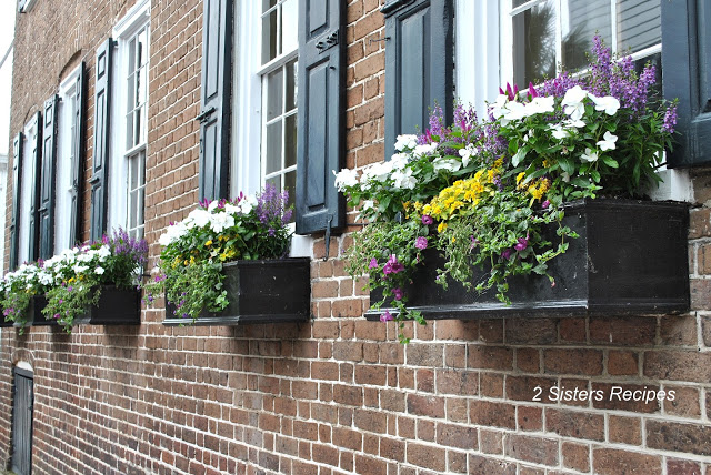 Window boxes filled with floral arrangements, hung outside on windows of brick building.