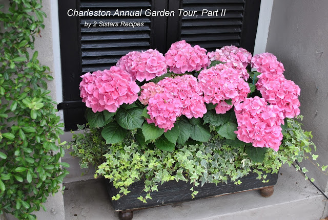 Charleston Annual Garden Tour with a planter filled with Pink hydrangeas.