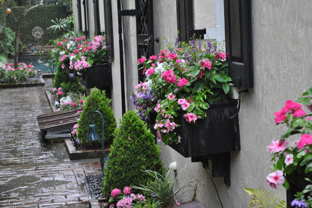 This narrow brick driveway lined with beautiful floral window boxes leads to a garden.