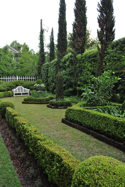 A view of a manicured garden with shrubs, and tall trees with a white bench at the end of it. 