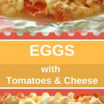 A colorful plate filled with cooked scrambled eggs with tomatoes and cheese.