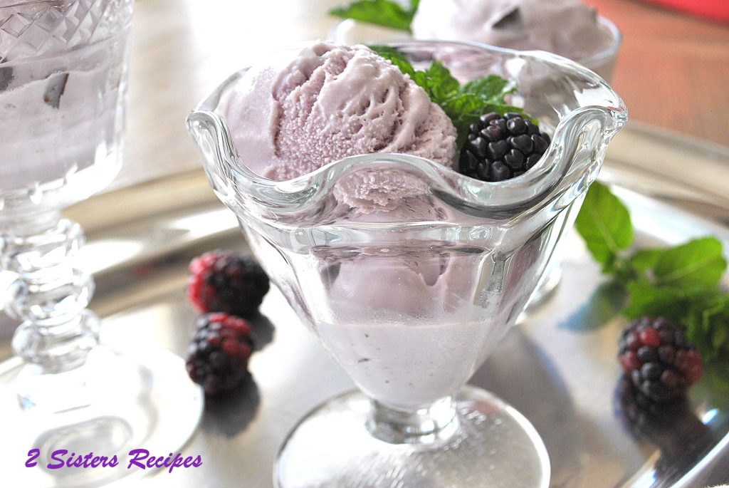 A dessert glass with some blackberry gelato and fresh blackberry and mint leaf in it.  by 2sistersrecipes.com