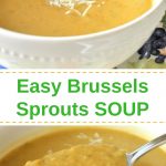 A white bowl of pureed brussels sprouts soup with grated cheese on top.
