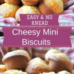 Little mini cheesy biscuits displayed in a basket.