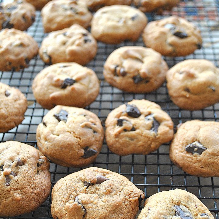 Chewy Chocolate Chip Cookies