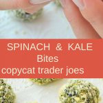 A hand is holding one Spinach & Kale Bite, and a platter filled with them.