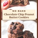 A plie of little chocolate chip cookies on parchment paper.