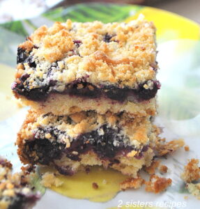 two blueberry lemon bars served on the plate.