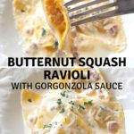 A forkful of butternut squash filled ravioli topped with a gorgonzola sauce and grated cheese.