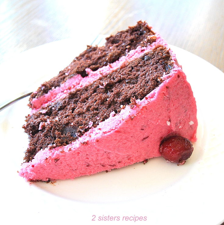 Chocolate Cake with Cranberry Buttercream by 2sistersrecipes.com