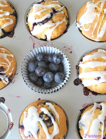 Blueberry Lemon Oat Muffins by 2sistersrecipes.com