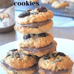 Chewy Oatmeal Raisin Sandwich Cookies by 2sistersrecipes.com