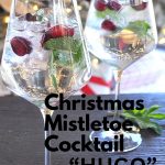Two wine glasses filled with a Hugo cocktail drink, fresh cranberries and mint.