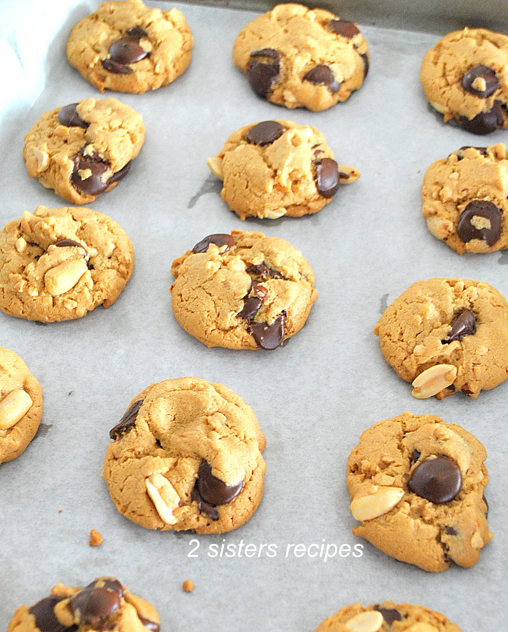 Gluten-Free Peanut Butter Chocolate Chip Cookies by 2sistersrecipes.com