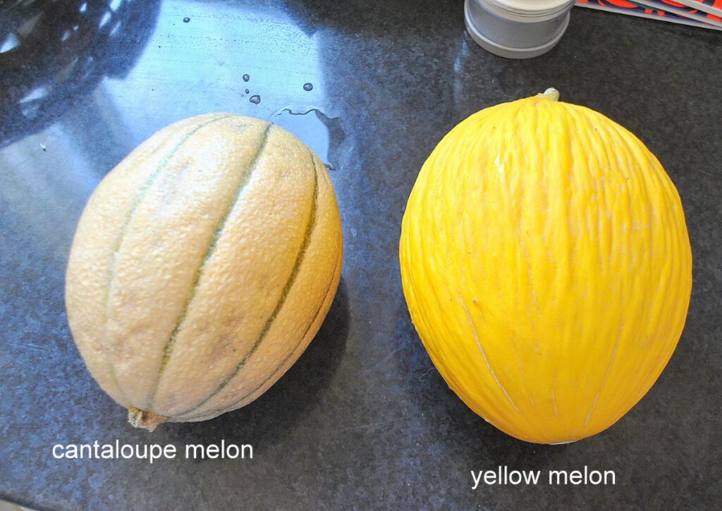 A cantaloupe and yellow melon displayed on a dark counter.