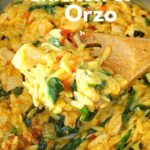 A spoonful of a mixture with orzo, chicken bites, spinach and sun-dried tomatoes.