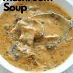A spoonful of creamy mushroom soup.